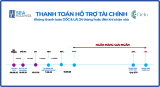 Phương thức ưu đãi nhất của CĐT hỗ trợ vay 24 tháng, lãi suất 0%.
