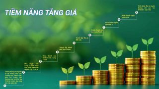 Khu Tây TP.HCM Bứt Phá: Cơ Hội Vàng Tăng Giá Bất Động Sản Nhờ Hạ Tầng & Tiện Ích Vượt Trội