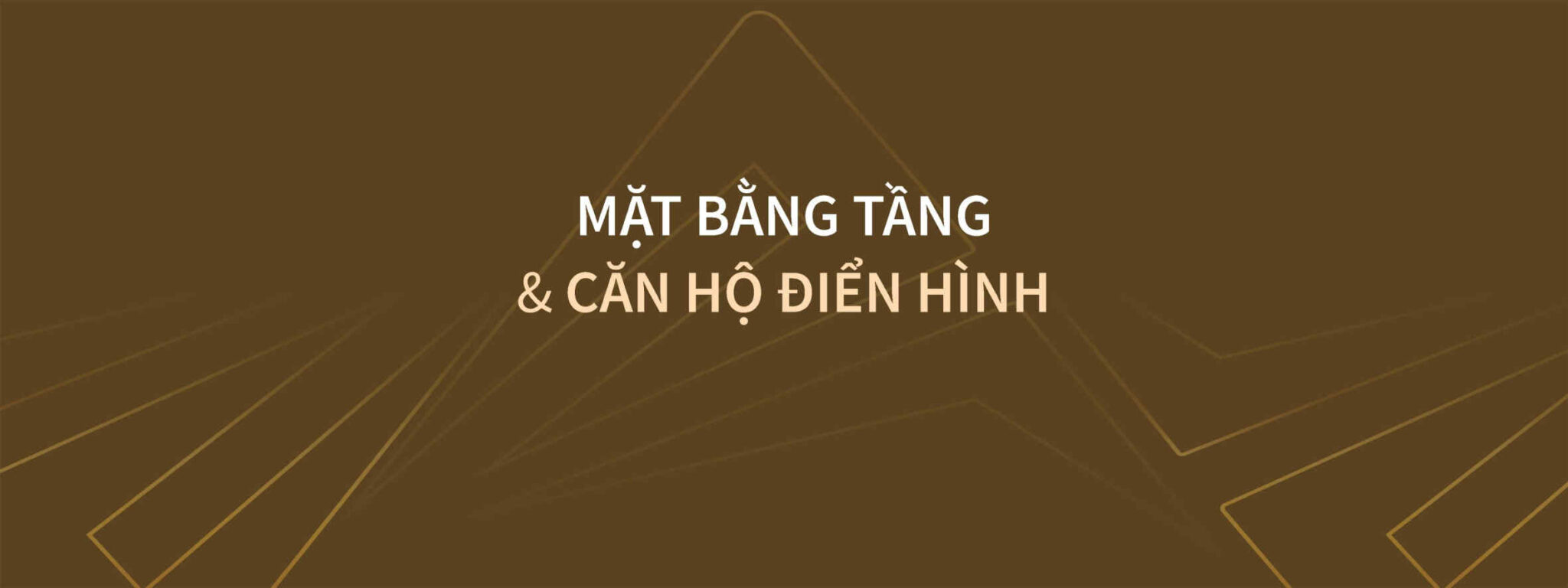 eleva- Thông tin dự án