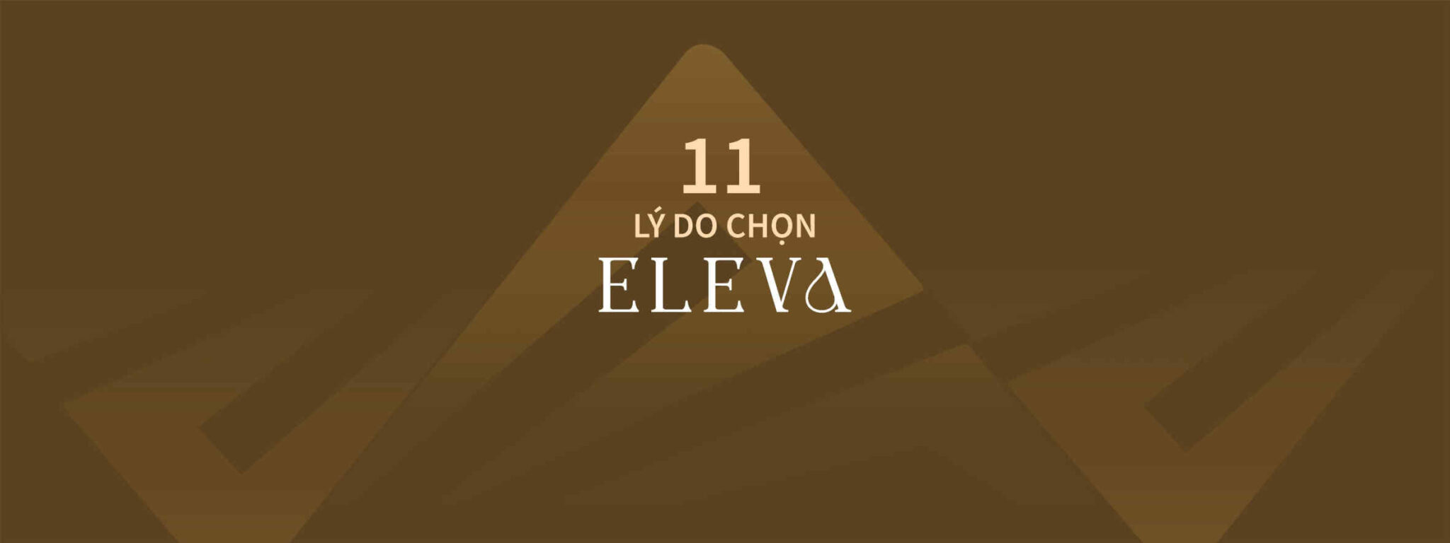 eleva- Thông tin dự án